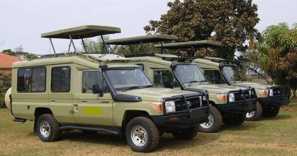 Safari vehicle on an open road